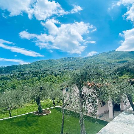 Casa Vacanze Gli Ulivi Borgomaro Eksteriør billede