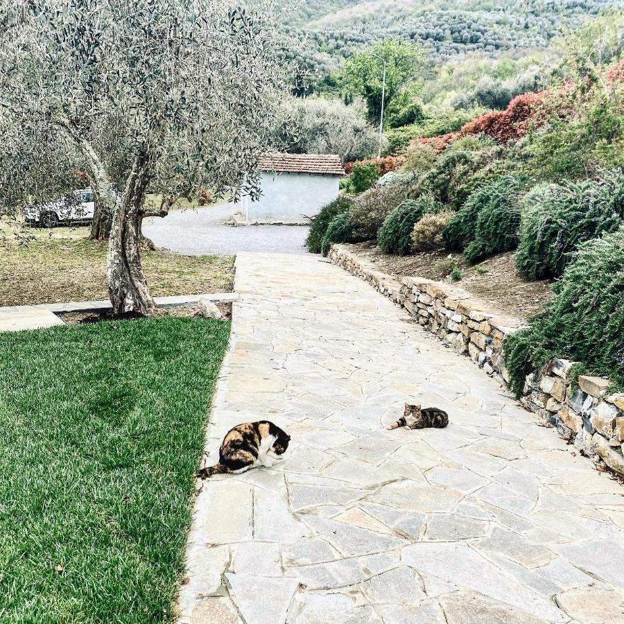 Casa Vacanze Gli Ulivi Borgomaro Eksteriør billede