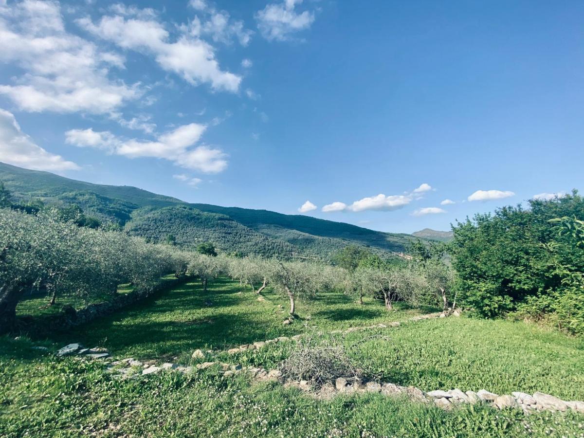 Casa Vacanze Gli Ulivi Borgomaro Eksteriør billede