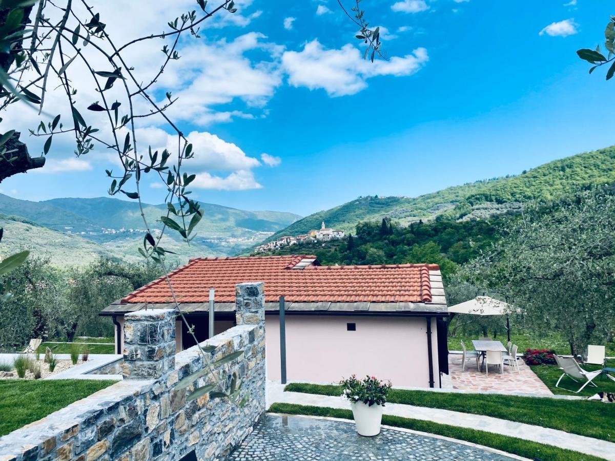 Casa Vacanze Gli Ulivi Borgomaro Eksteriør billede