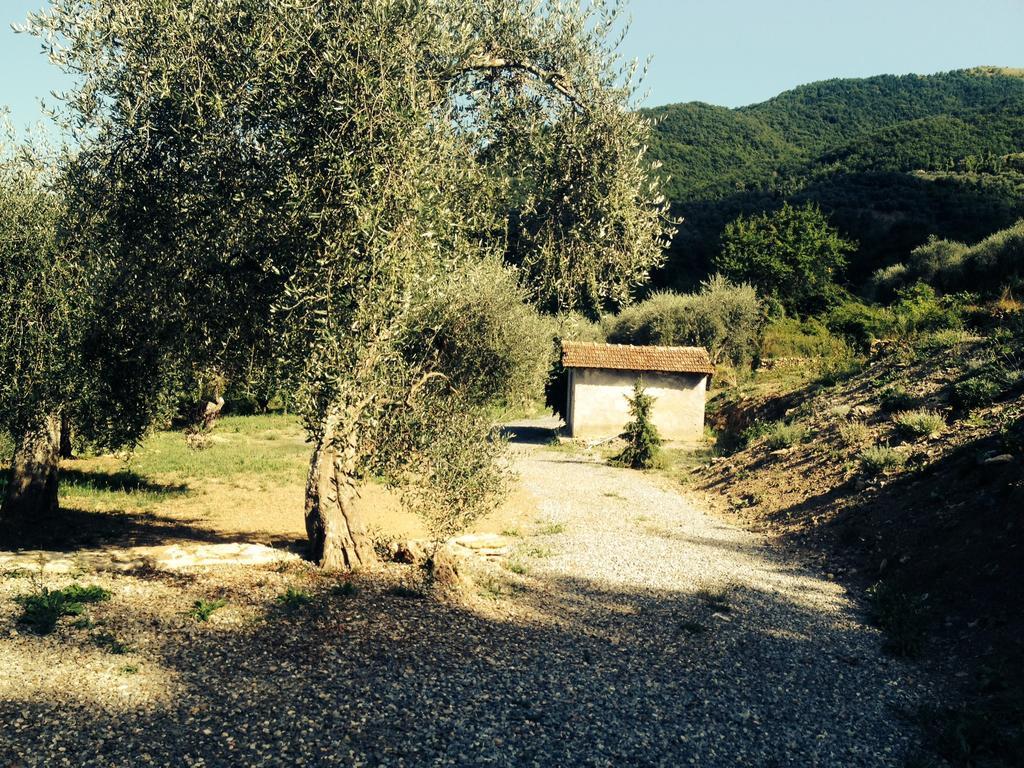 Casa Vacanze Gli Ulivi Borgomaro Værelse billede